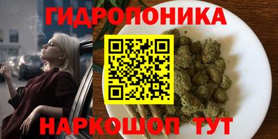 дурь Волжский