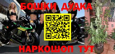 ГАЛЛЮЦИНОГЕННЫЕ ГРИБЫ Будённовск
