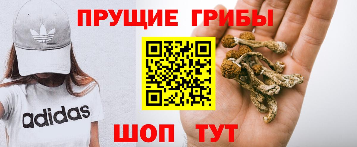 Самара  Псилоцибиновые грибы прущие грибы  Вход с VPN 